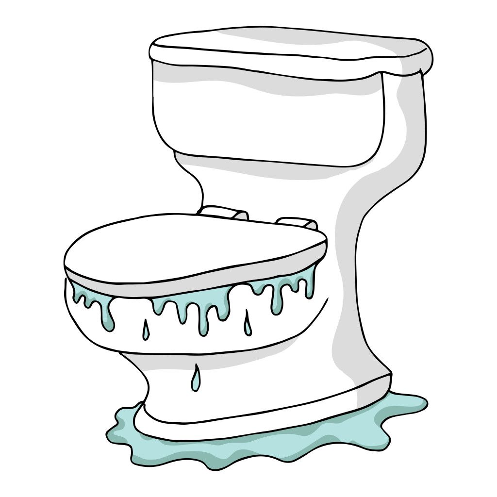 9 Things You Should Never Flush Down The Toilet Gillece Services